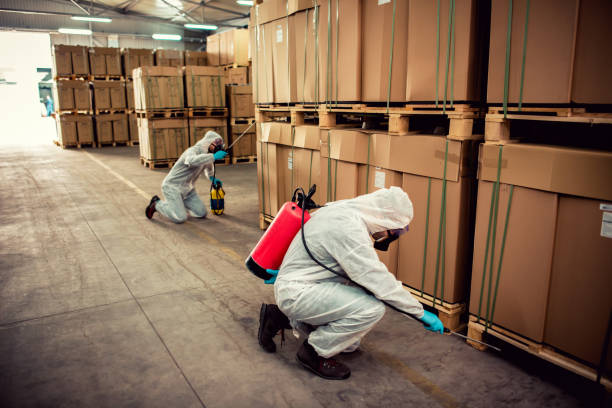 Flea Control Services in Mobile, AL