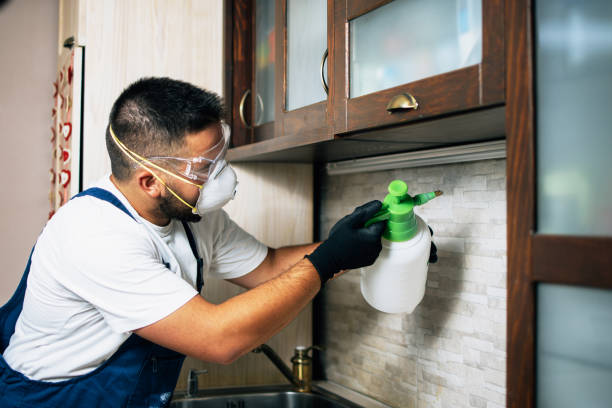 Reliable Mobile, AL Pest Control Solutions