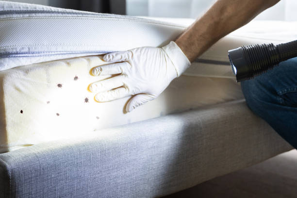 Best Exterminator Services  in Mobile, AL