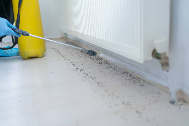 Best Termite Control Services  in Mobile, AL